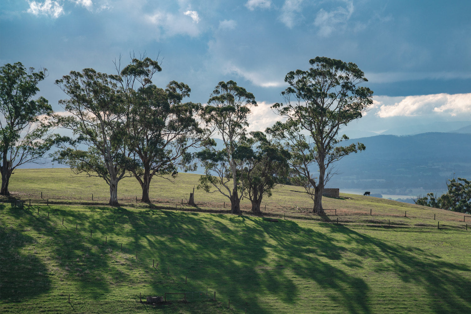 The Wattle Road specialise in designing and making tables out of reclaimed Australian hardwood. We source our timbers from across Australia.