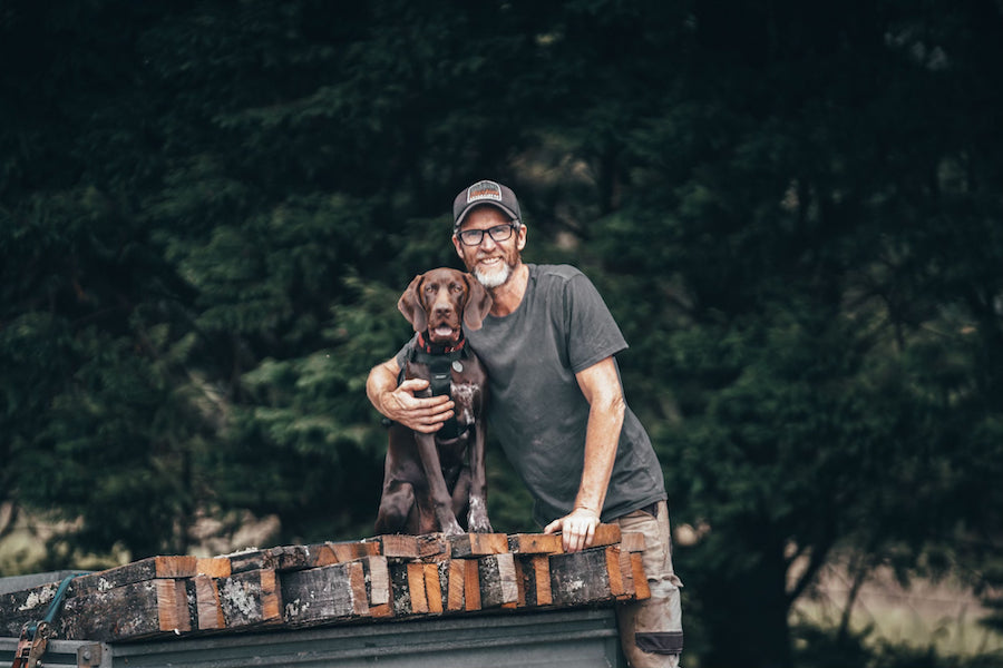 Rescuing timber in the Southern Highlands NSW